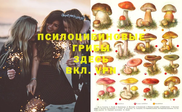 стафф Лагань
