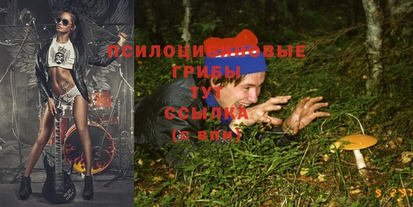 Альфа ПВП Кулебаки