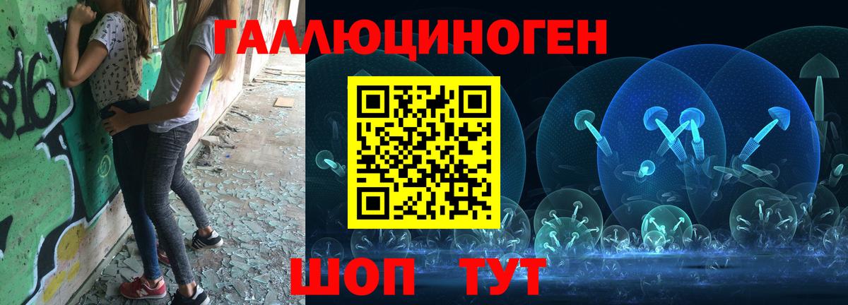 Галлюциногенные грибы Psilocybe Кимовск