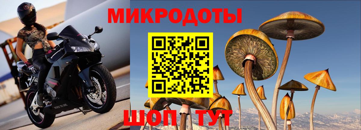 Кимовск  Псилоцибиновые грибы Psilocybine cubensis  Псилоцибиновые грибы мухоморы  Вход с VPN 